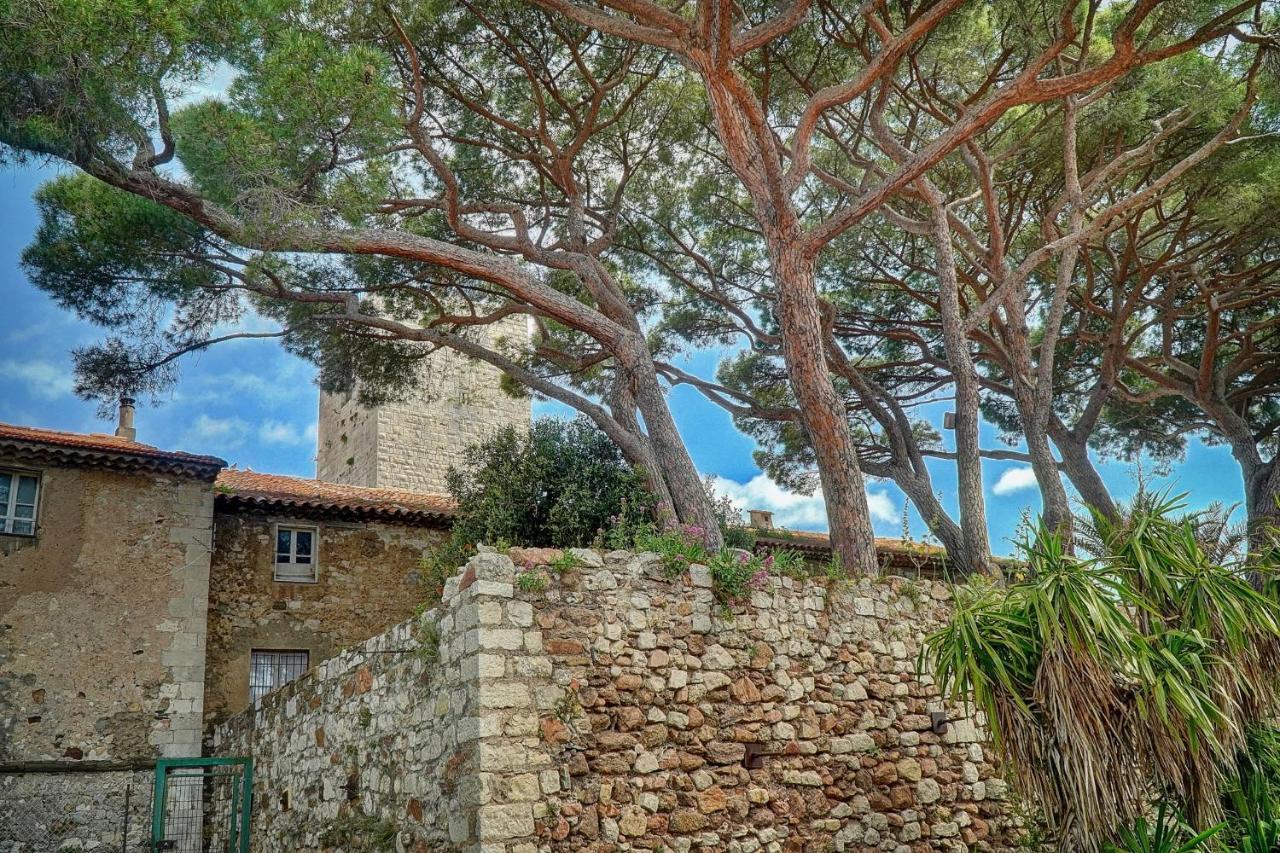 Immogroom - 5 Min From Beaches - Suquet - Ac 칸느 외부 사진